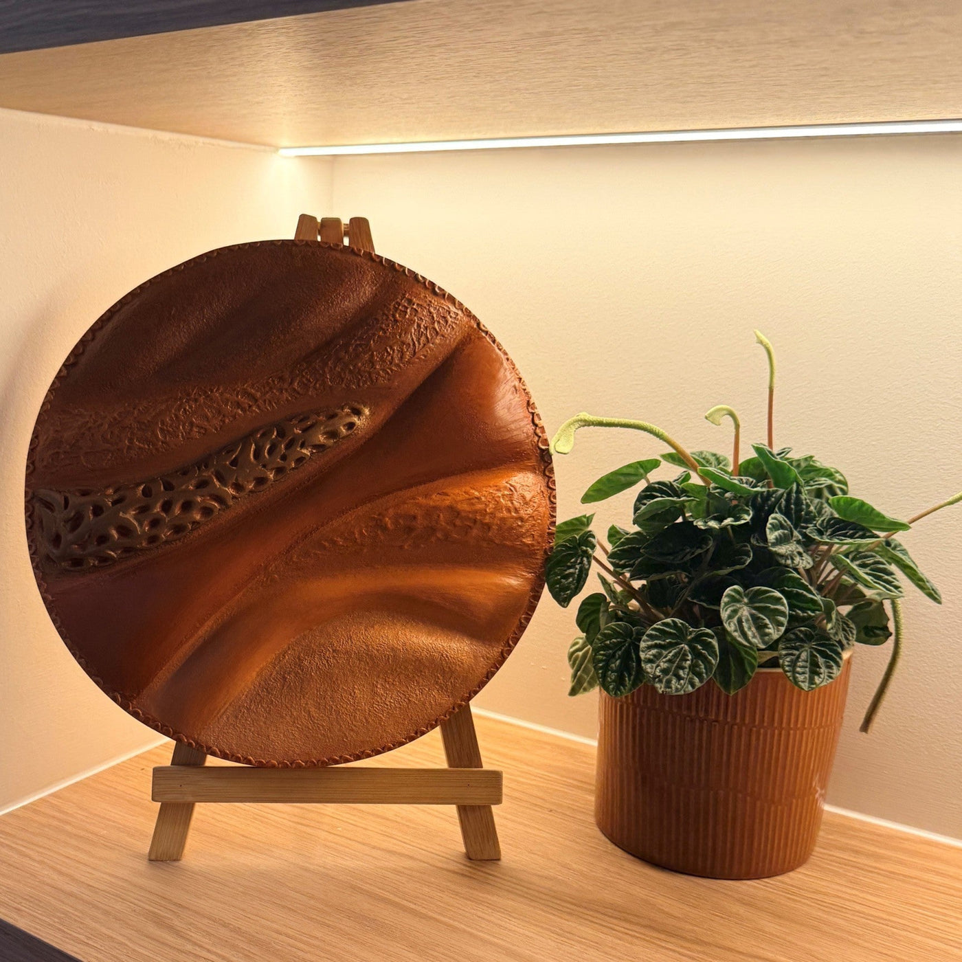 Round textured sculpture painted styled on shelves under LED strip lighting with terracotta pot plant